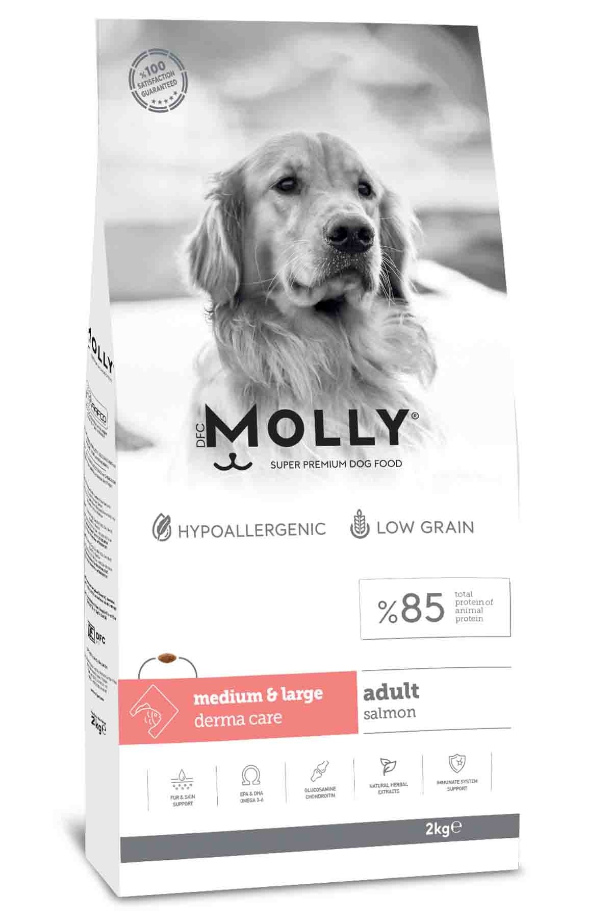 MOLLY Somonlu Medium Large Orta ve Büyük Irk Yetişkin Köpek Maması 2 Kg