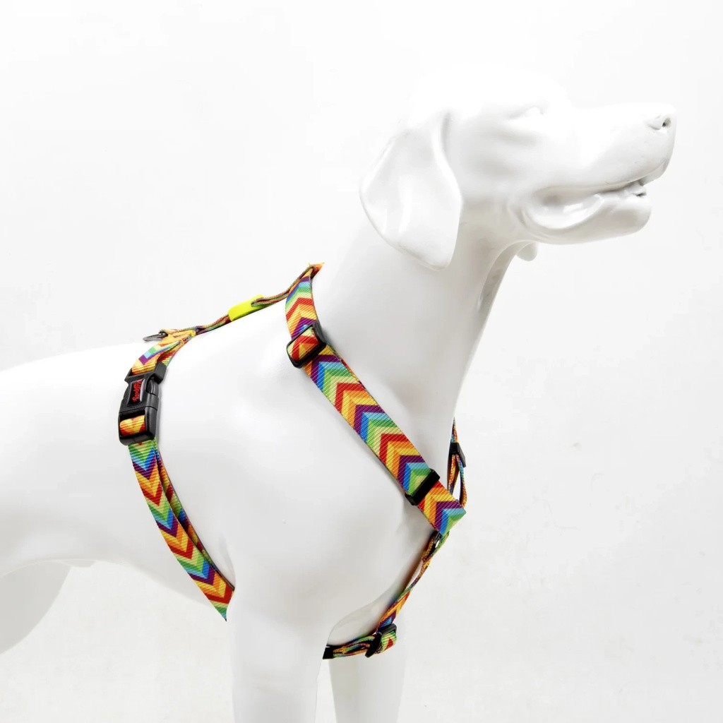 TAILPETZ Rainbow H-Tipi Göğüs Tasmasi M