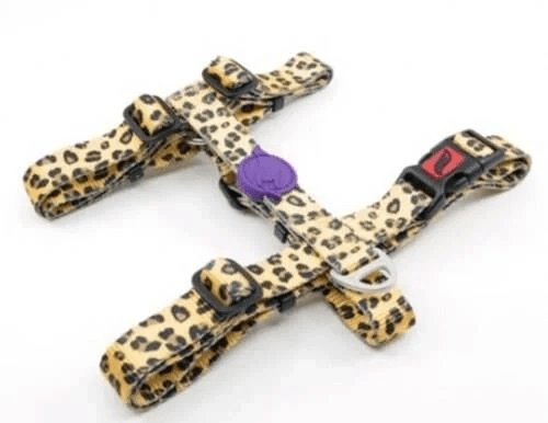 TAILPETZ Leopard H-Tipi Göğüs Tasmasi XS
