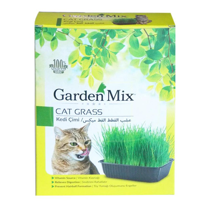 GARDEN MIX Kedi Çimi