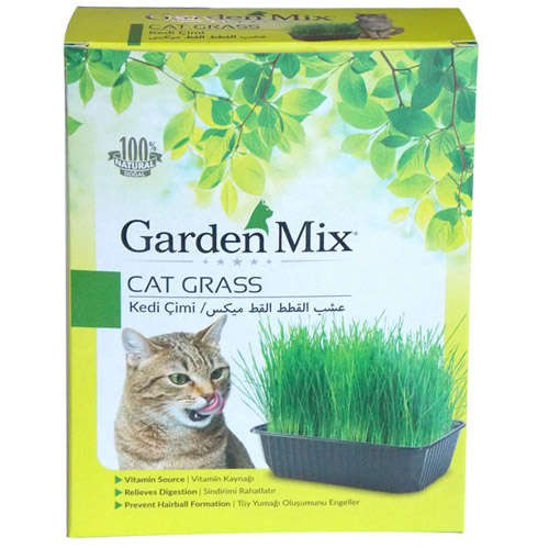GARDEN MIX Kedi Çimi