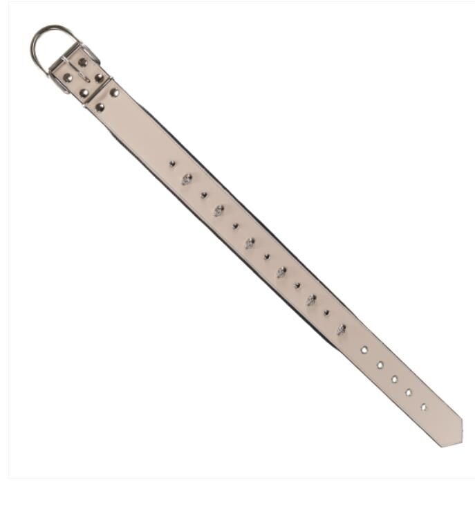 ÇİVİLİ KURU KAFALI 4 CM BOYUN