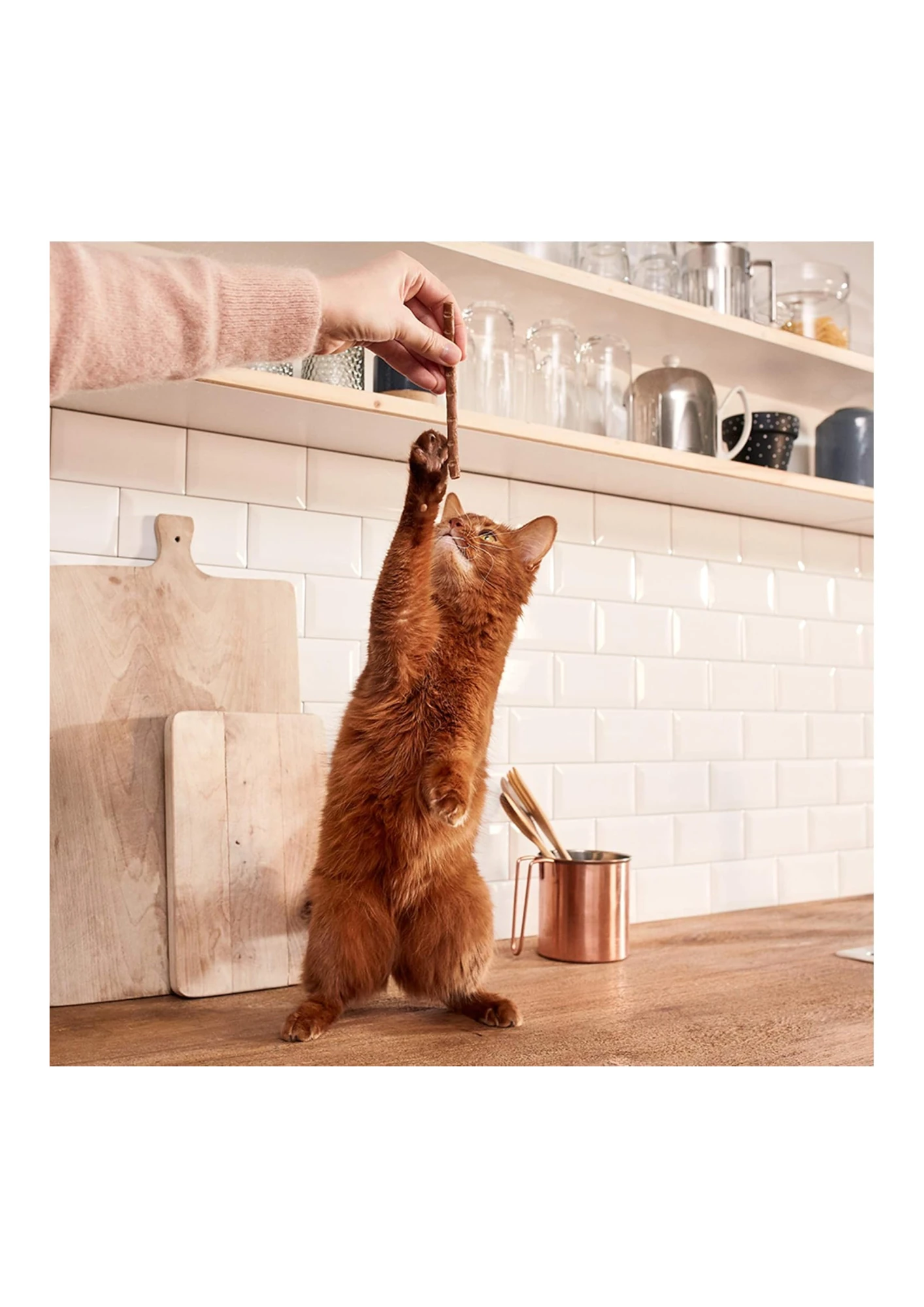 GIMCAT Hindili ve Tavşanlı Kedi Ödül Çubuğu 10'lu 50 Gr