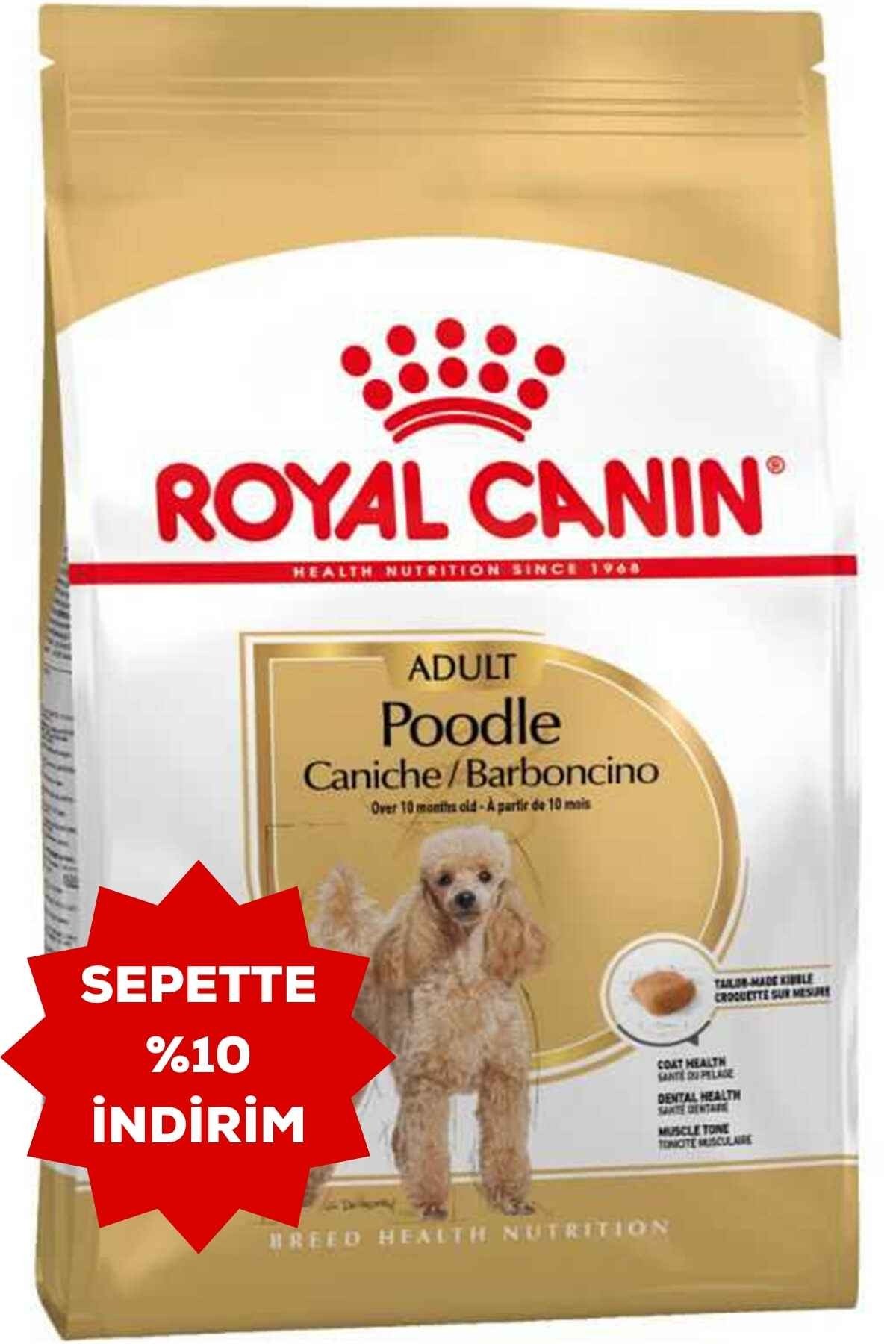 ROYAL CANIN Poodle Özel Irk Yetişkin Köpek Maması 3 Kg