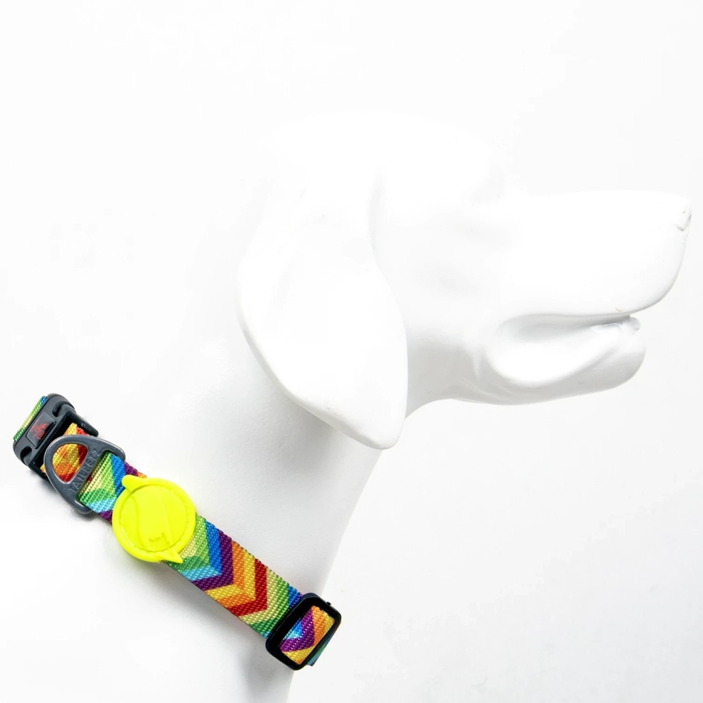 TAILPETZ Rainbow Boyun Tasmasi Small