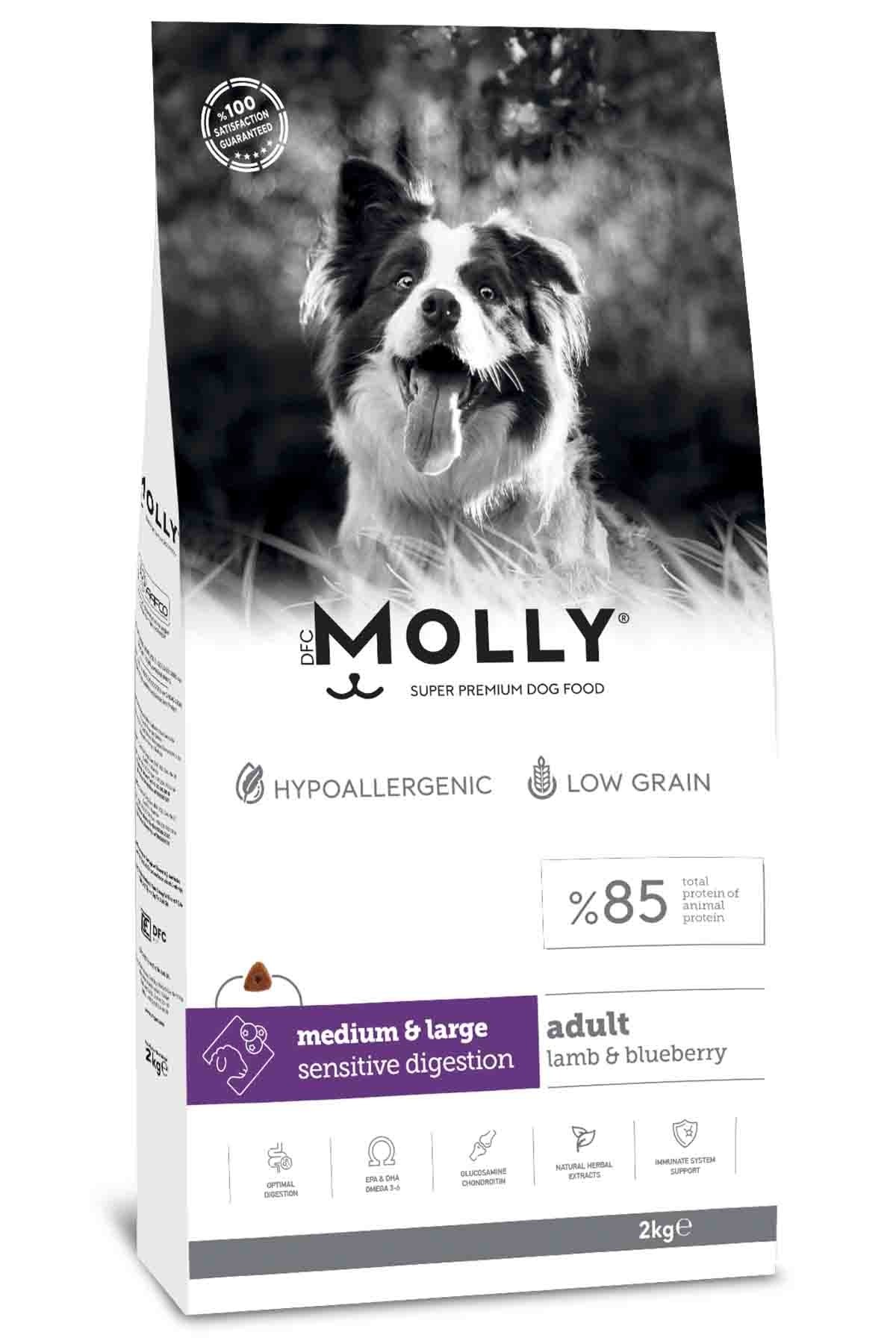 MOLLY Kuzulu ve Yabanmersinli Medium Large Orta ve Büyük Irk Yetişkin Köpek Maması 2 Kg
