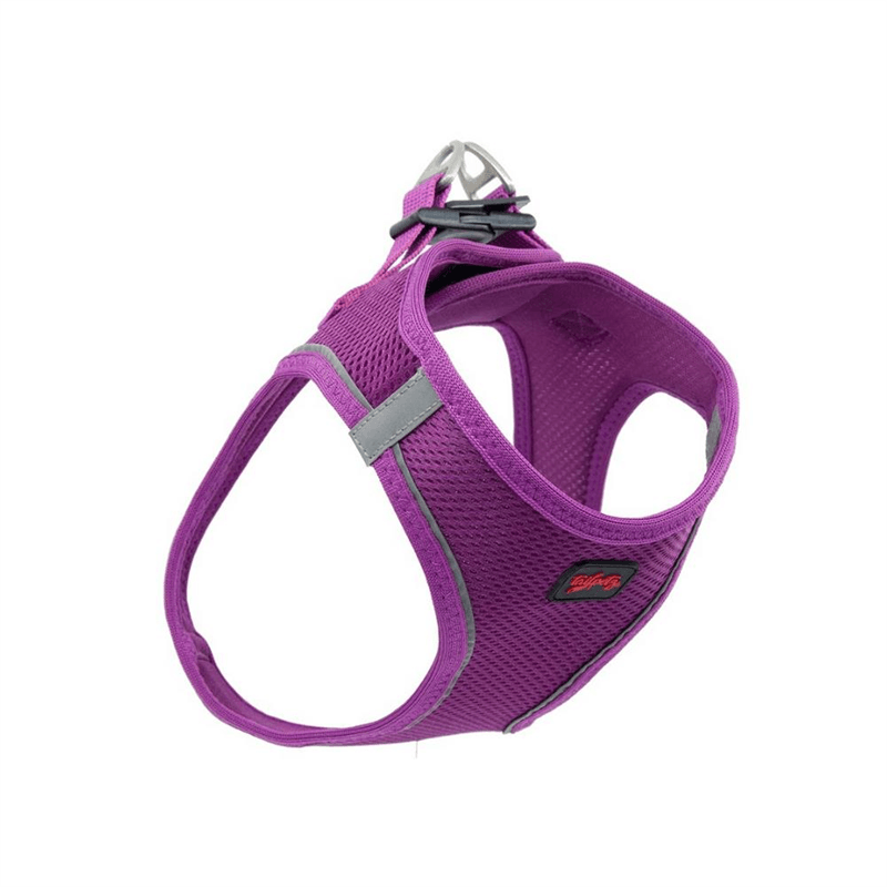 REFLEX Plus Kuzu ve Pirinçli Küçük Irk Yetişkin Köpek Maması 8 Kg