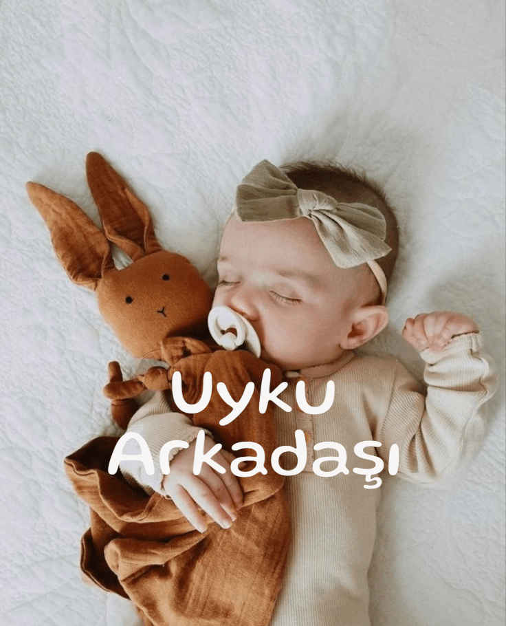 Uyku Arkadaşı Nedir? Nasıl Seçilmelidir?