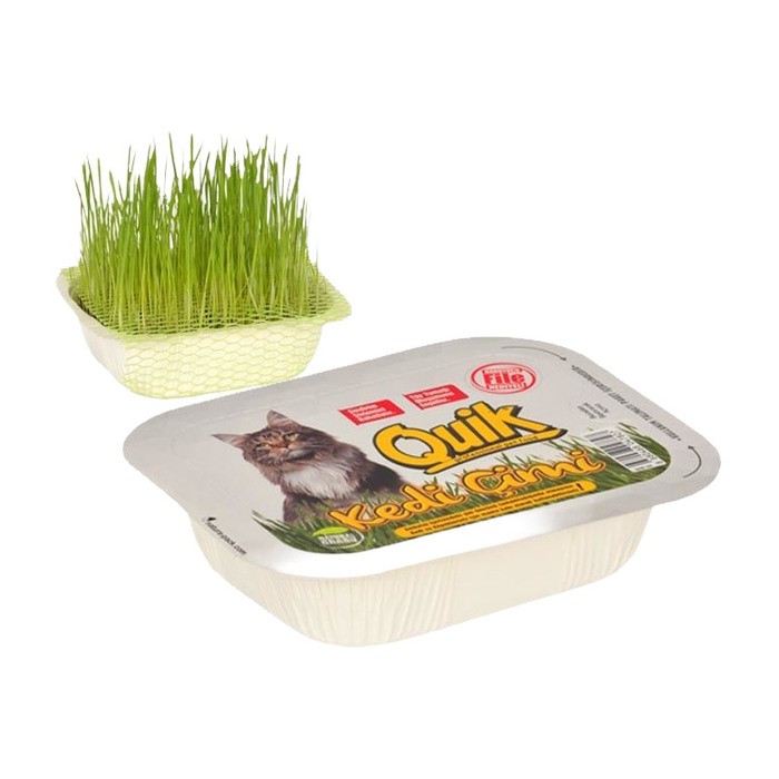 Kedi Çimi Fileli