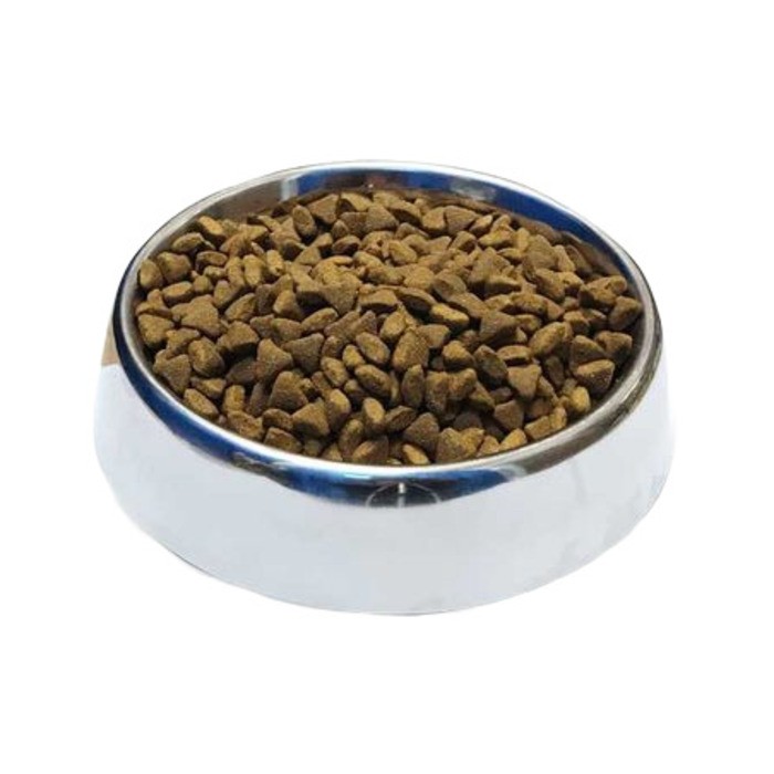 Smart Dog Kuzu Etli Yetişkin Köpek Maması Açık
