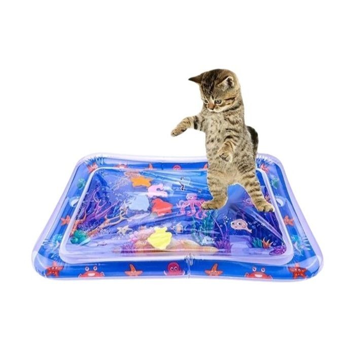 Kedi Su Yatağı