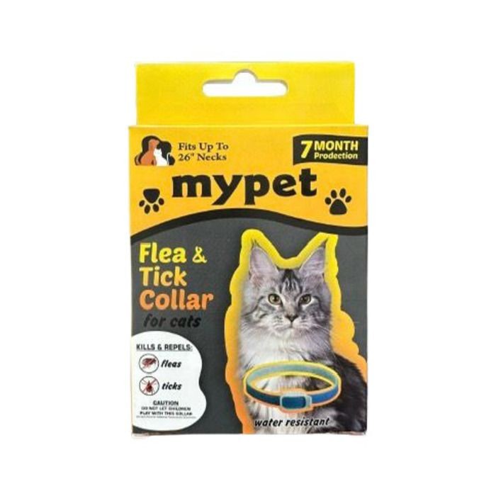 Pire Tasması Kedi