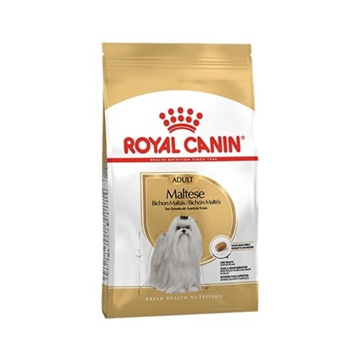 Maltese Bichon Maltais Yetişkin Köpek Maması 1,5 kg