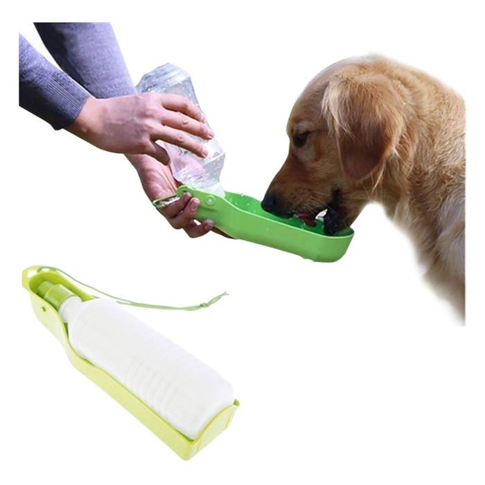 Köpek & Kedi Seyahat Suluğu