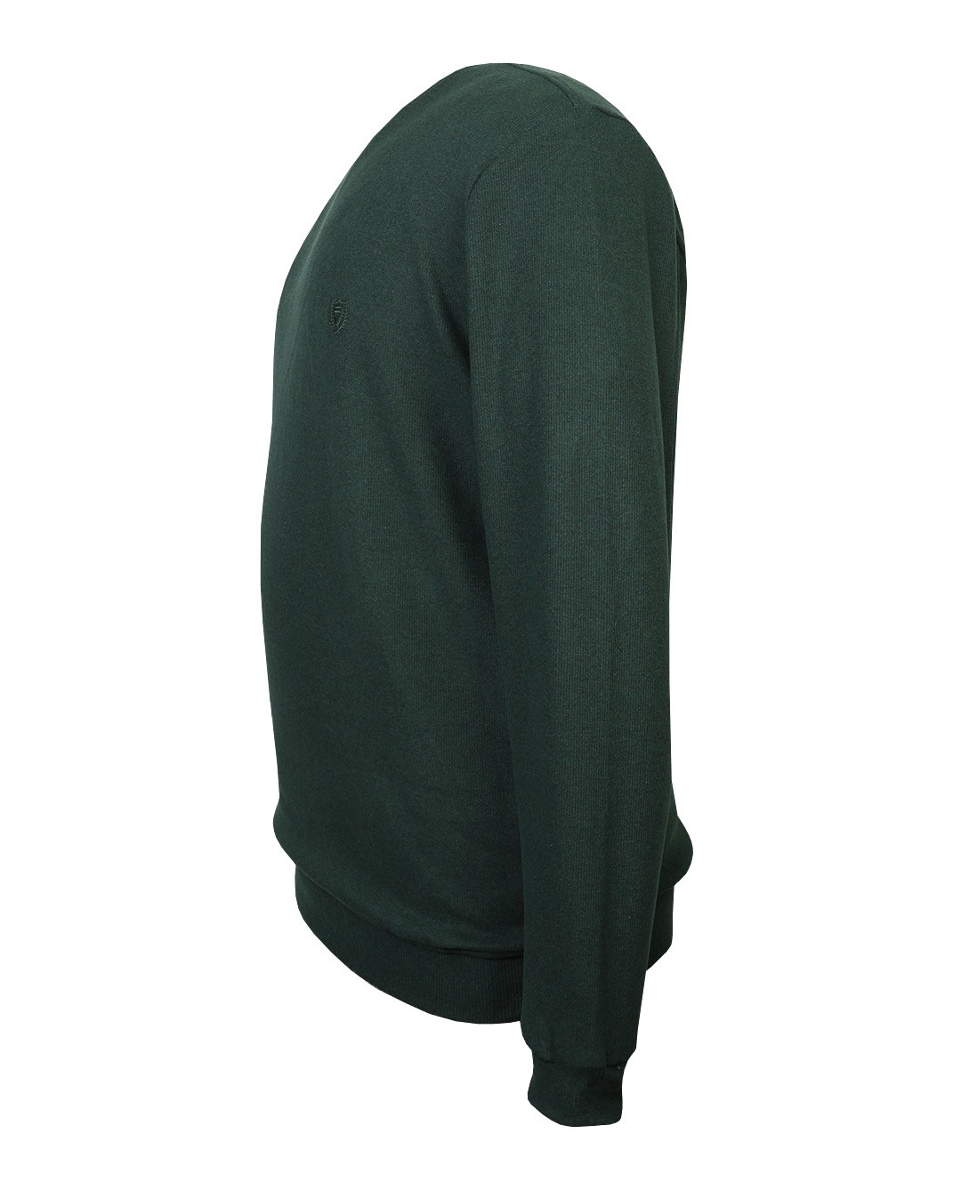 Büyük Beden Bisiklet Yaka Selanik Sweatshirt - Yeşil