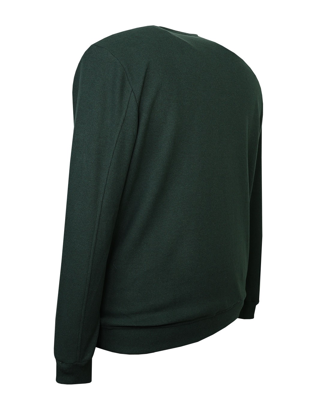 Büyük Beden Bisiklet Yaka Selanik Sweatshirt - Yeşil