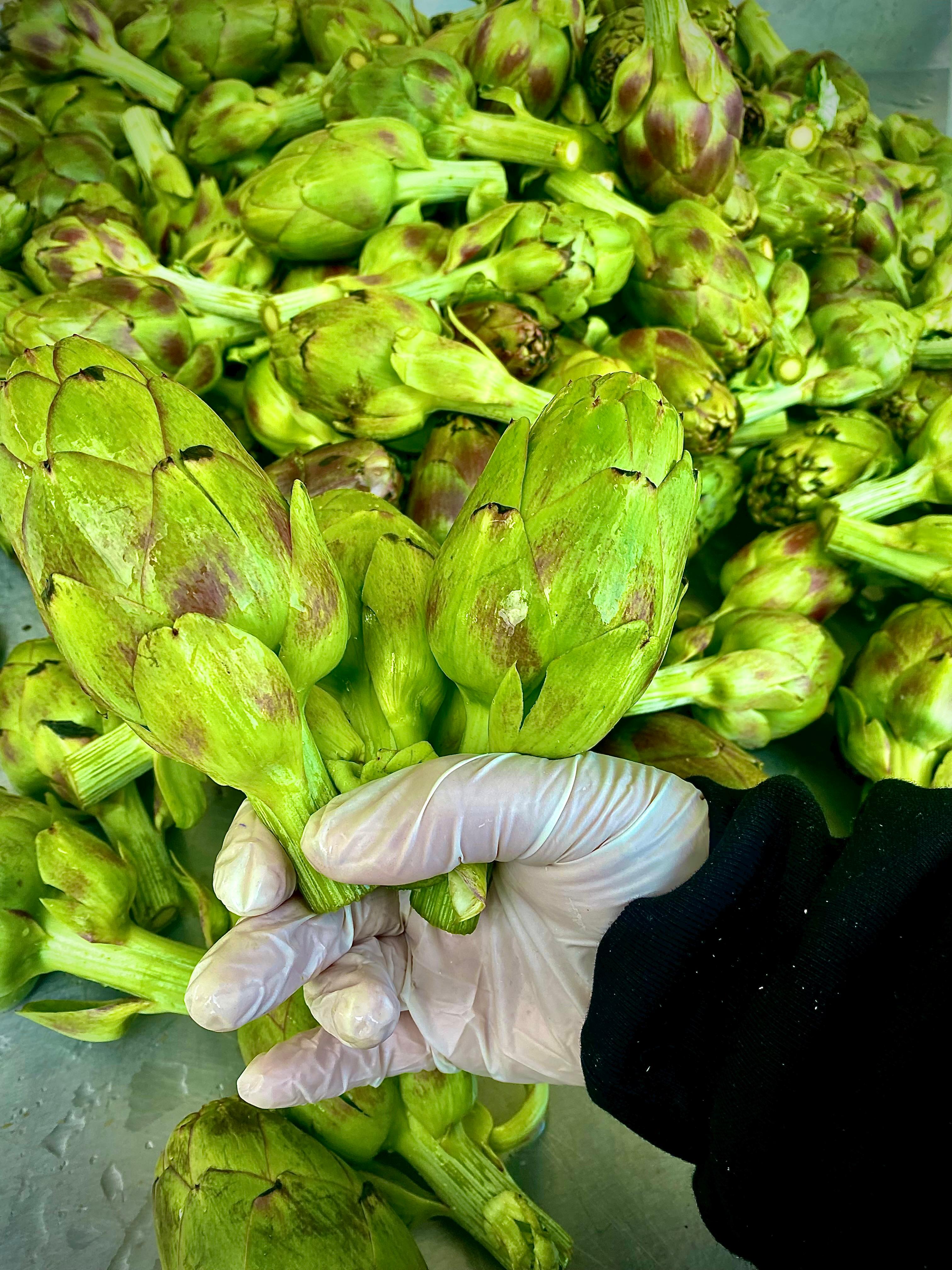 Dalından Kalp Enginar