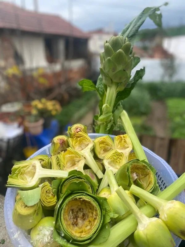 Temizlenmiş 15 Adet Kalp + 15 Adet Yarma Bebek