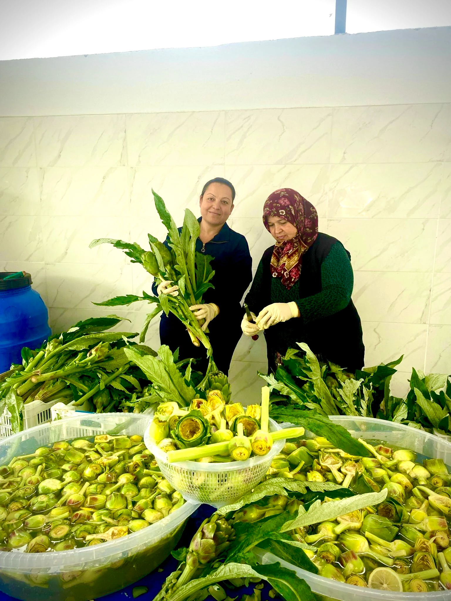 Temizlenmiş 10 Adet Kalp + 10 Adet Bebek + 5 Adet Dolmalık