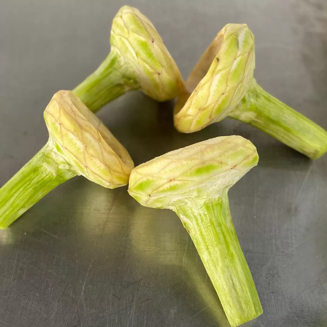 30 Adet Saplı Kadeh Çanak Enginar