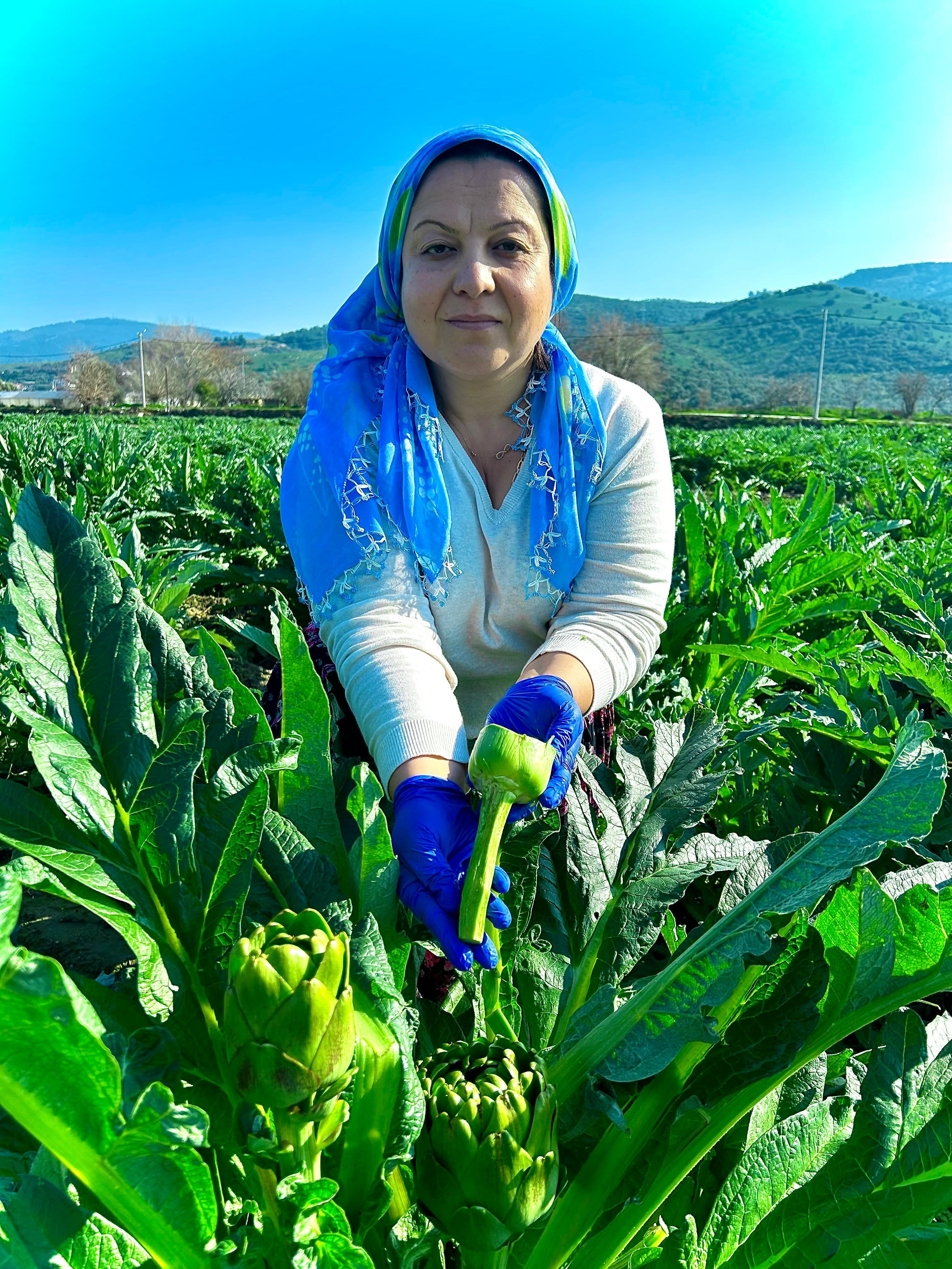 Günlük Temizlenmiş Saplı Kalp Enginar