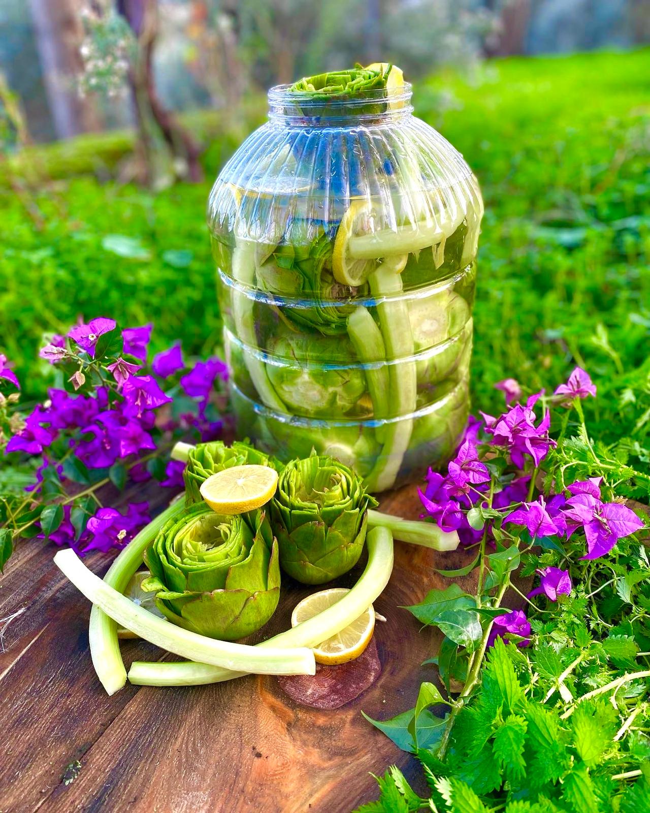 Temizlenmiş 45 Adet Mix Paket (15 Çanak + 10 Bebek + 10 Dolmalık + 10 Kalp )