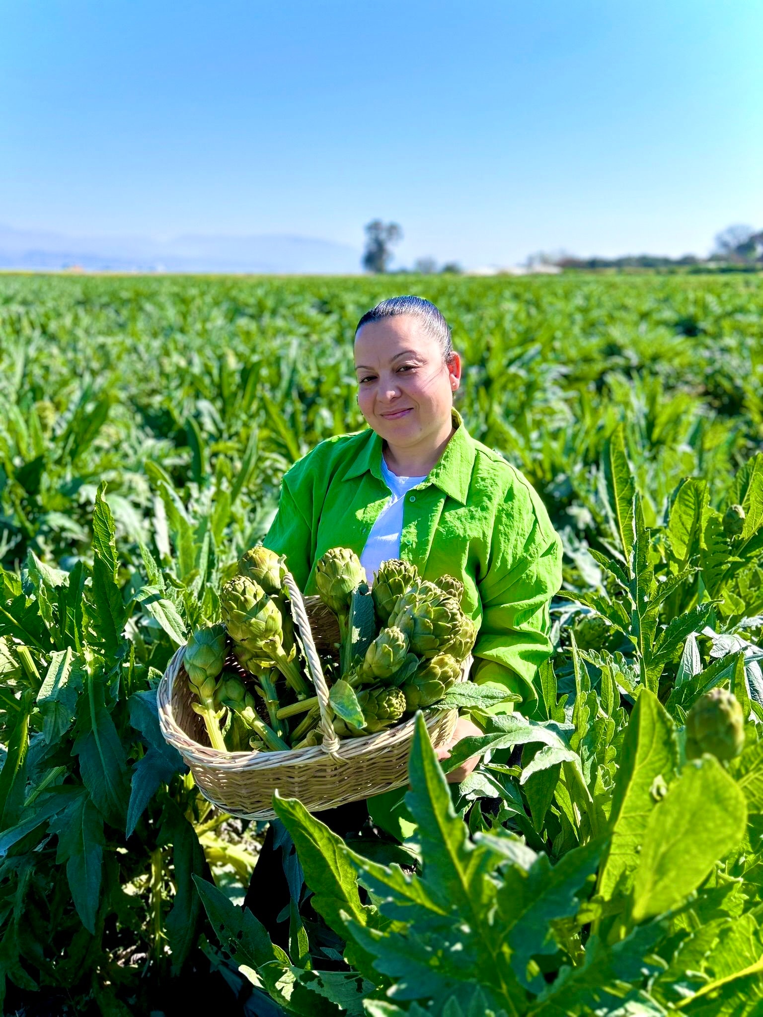 Dalından Bebek Enginar