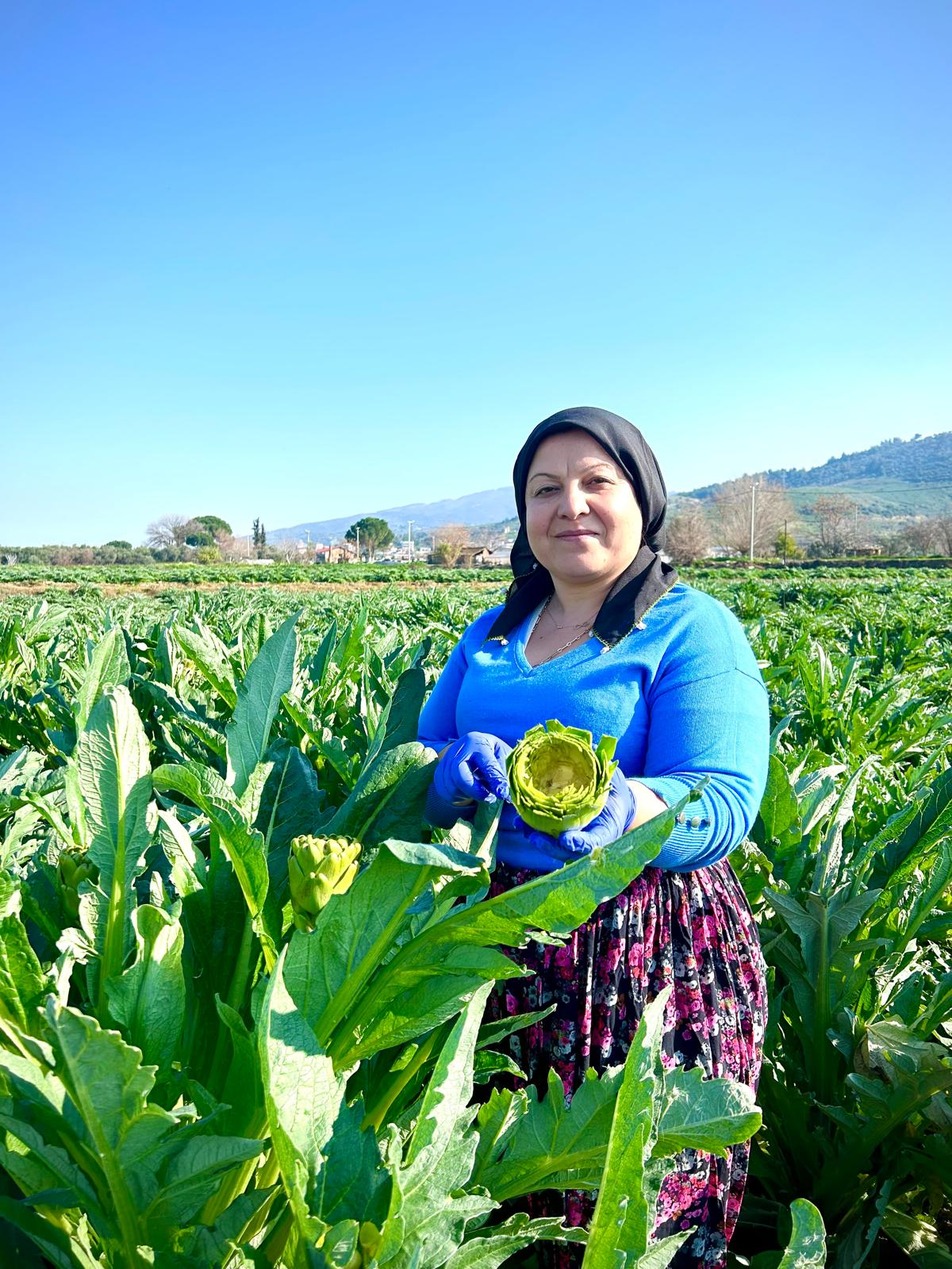 Günlük Temizlenmiş Dolmalık Enginar