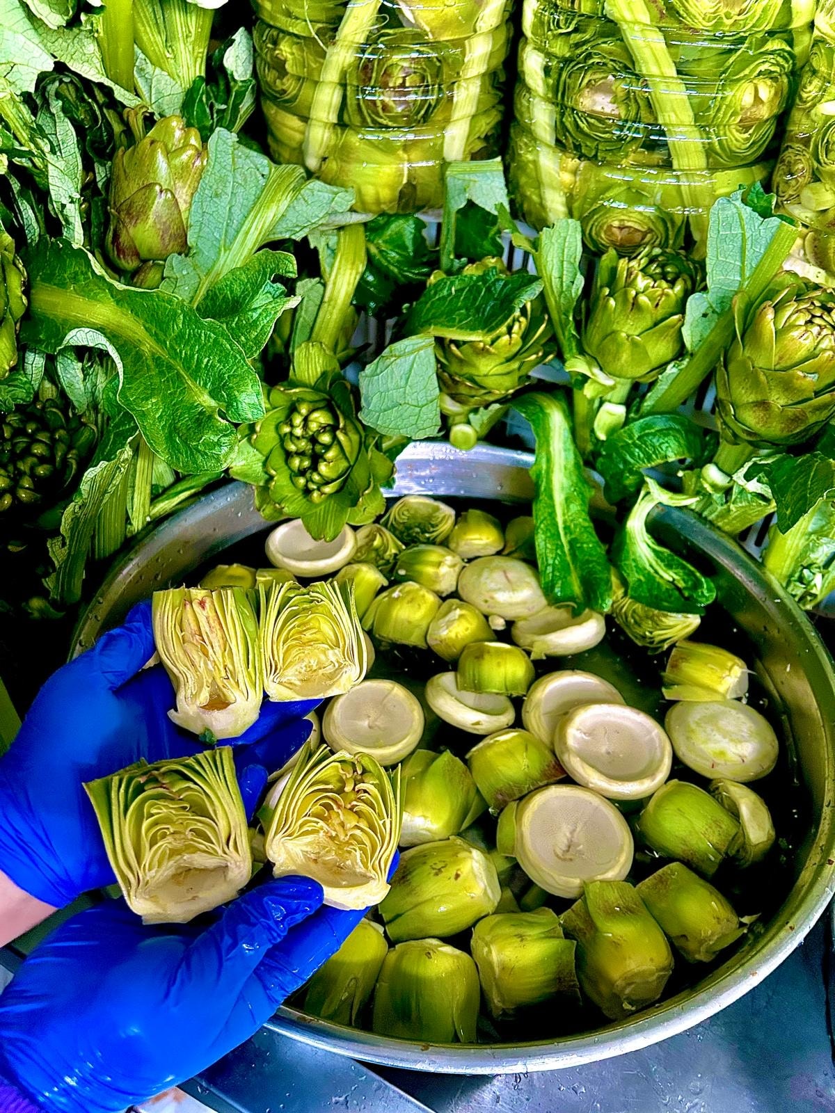 Temizlenmiş 40 Adet Mix Paket (20 Çanak + 20 Bebek)