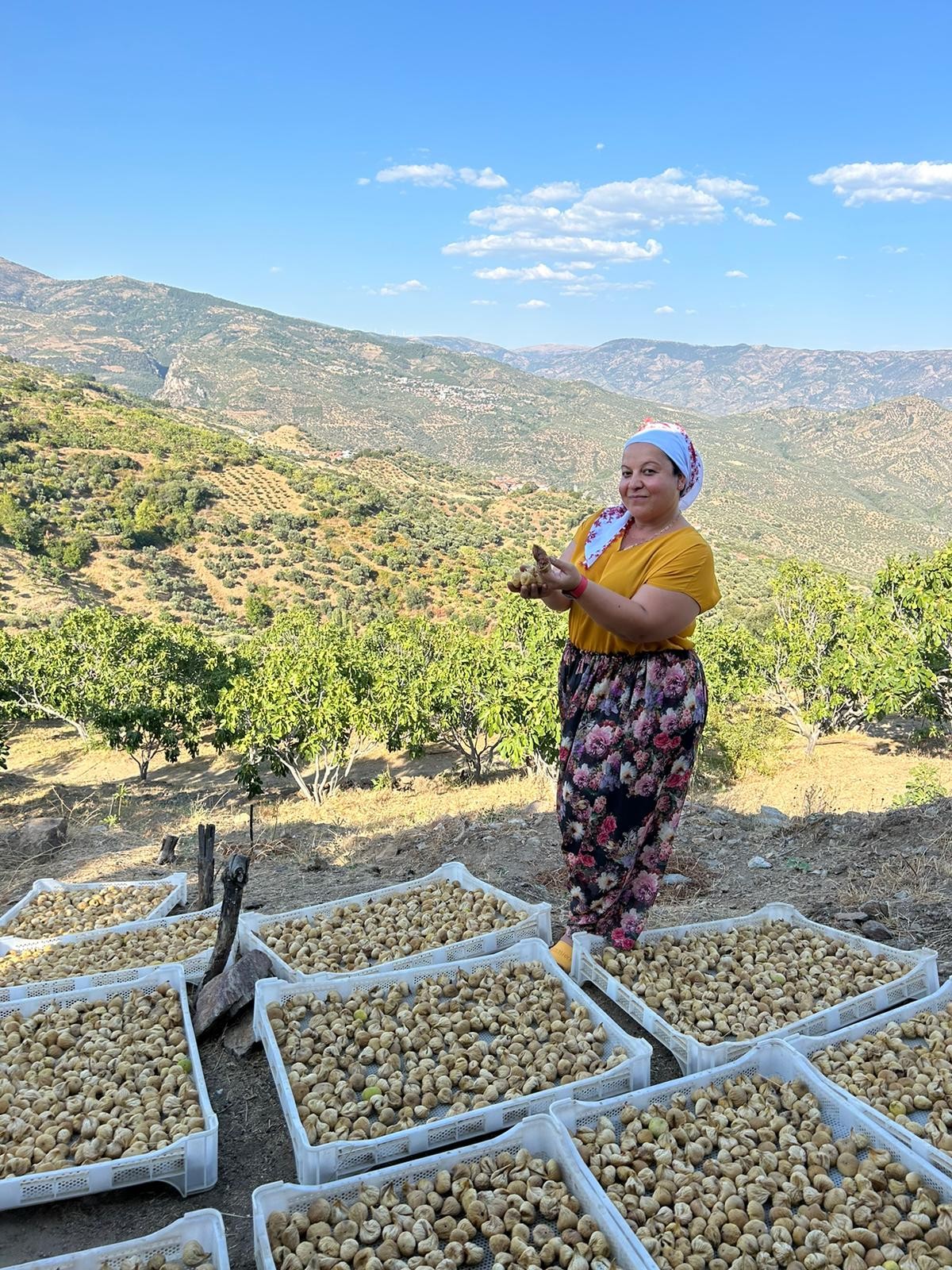 1 Kg Duble Boy Süzme Dağ İnciri