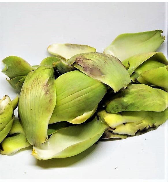 1 Kg Taze Enginar Yaprağı