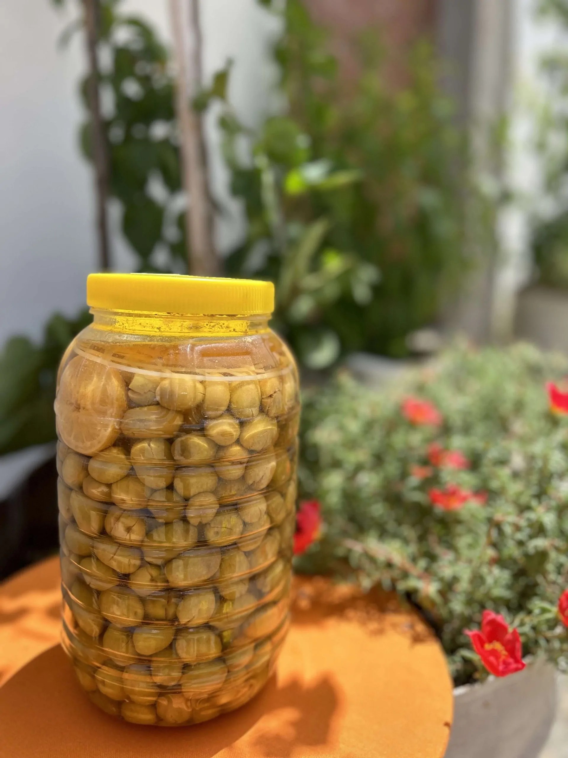 3 lt Yeşil Kırma Zeytin