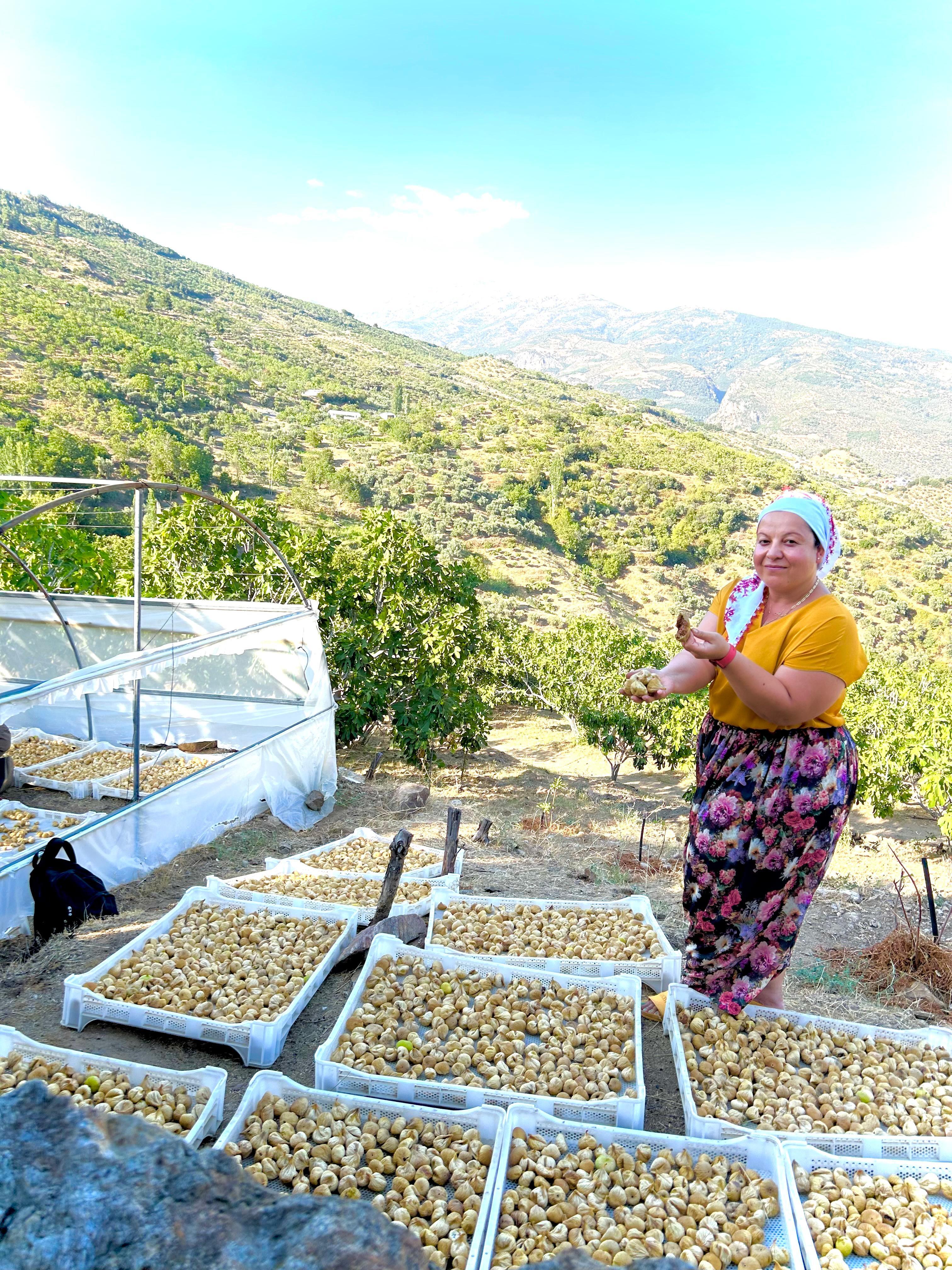 1 Kg Küçük Boy Dağ İnciri
