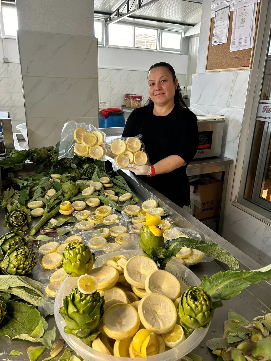 100 Adet Saplı Kadeh Çanak Enginar