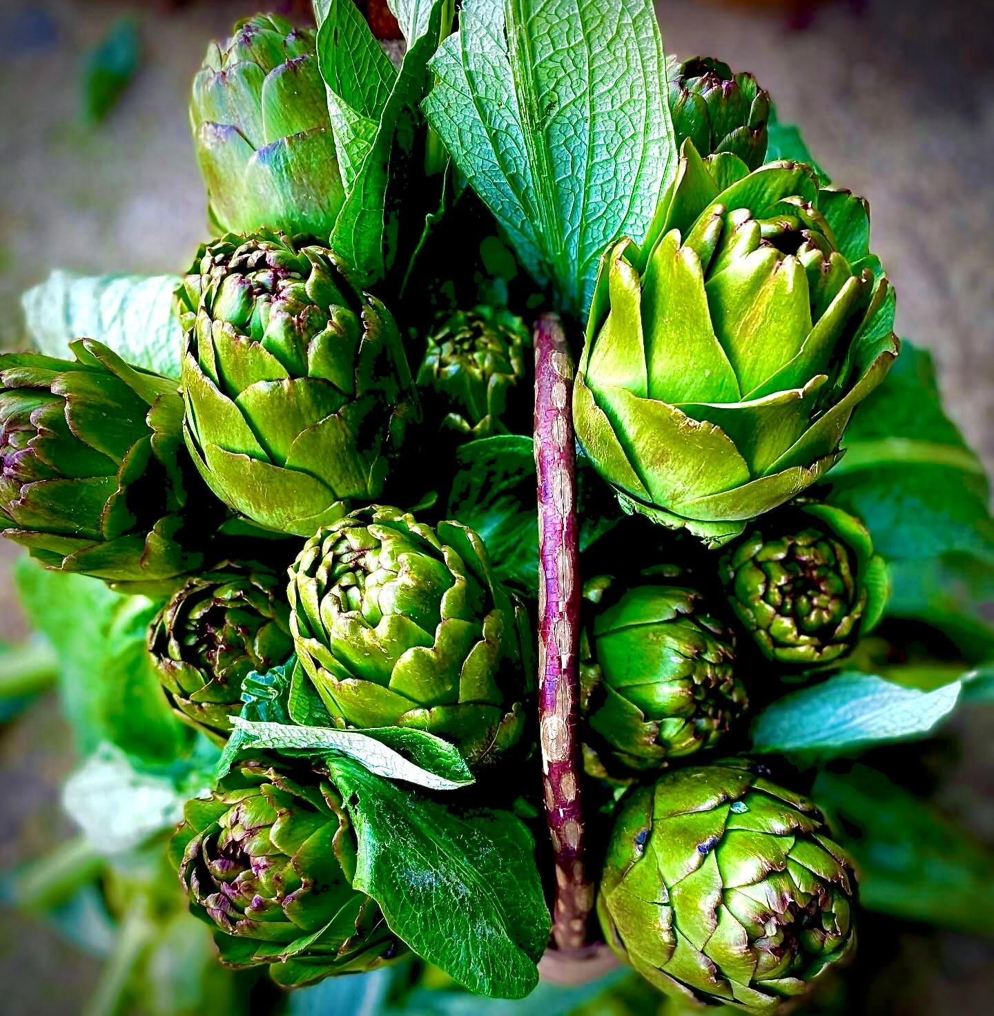 Dalından Dolmalık Enginar