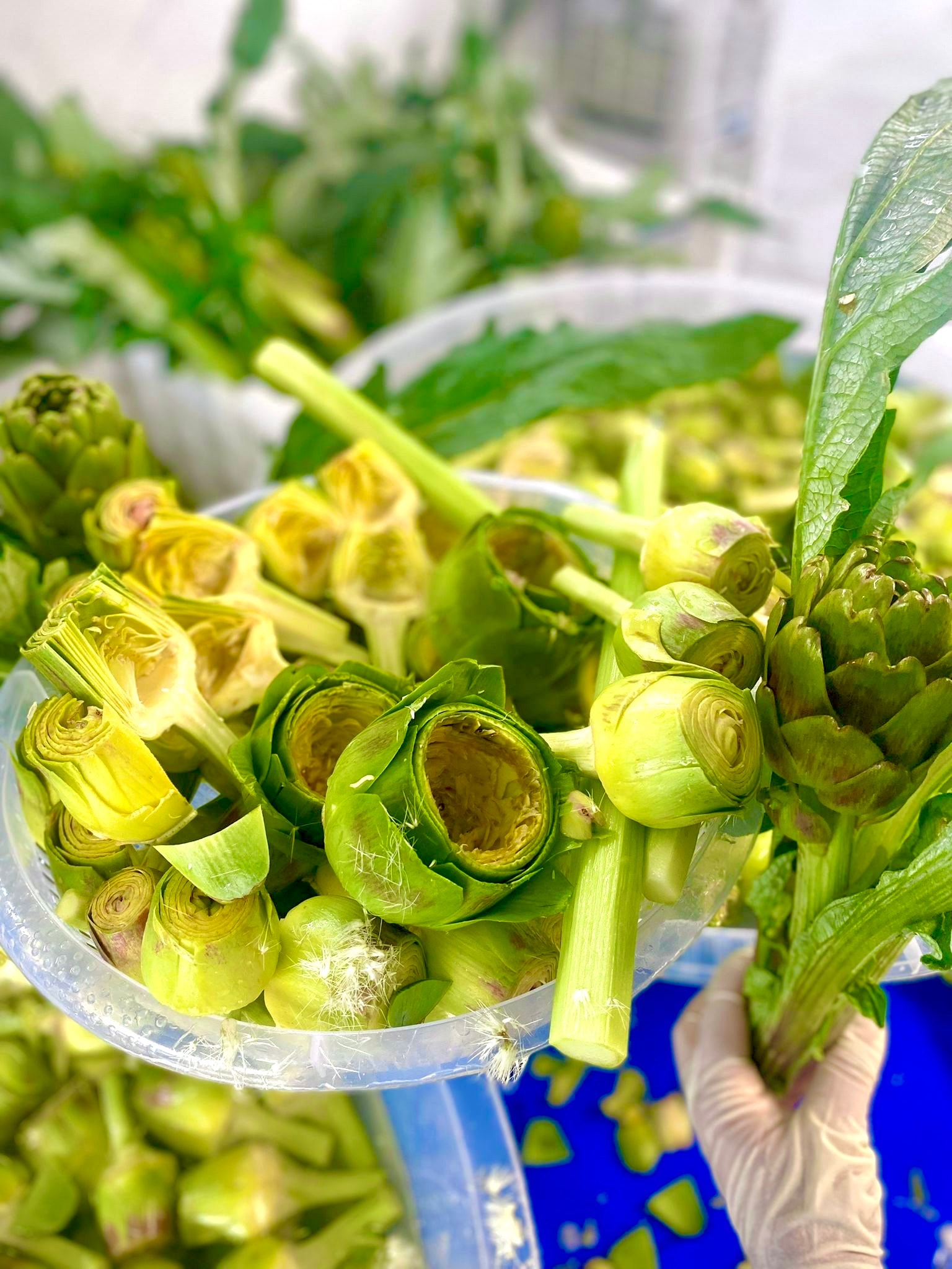 Temizlenmiş 15 Adet Kalp + 15 Adet Bebek + 10 Adet Dolmalık