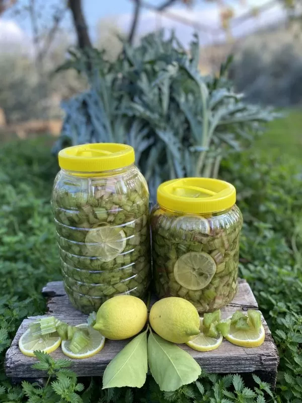 5 Lt Aydın Usülü Temizlenmiş Enginar