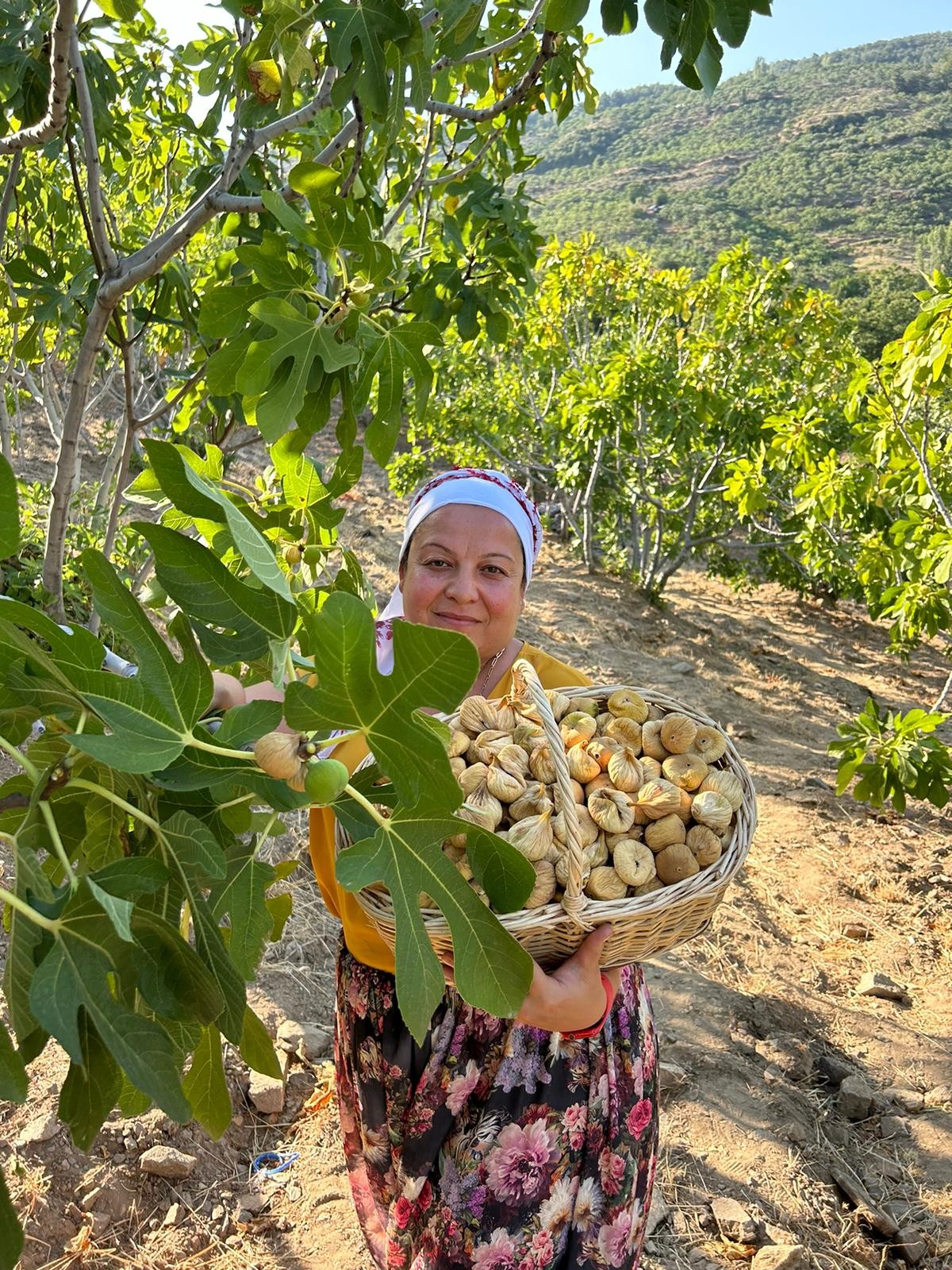 1 Kg Duble Boy Süzme Dağ İnciri