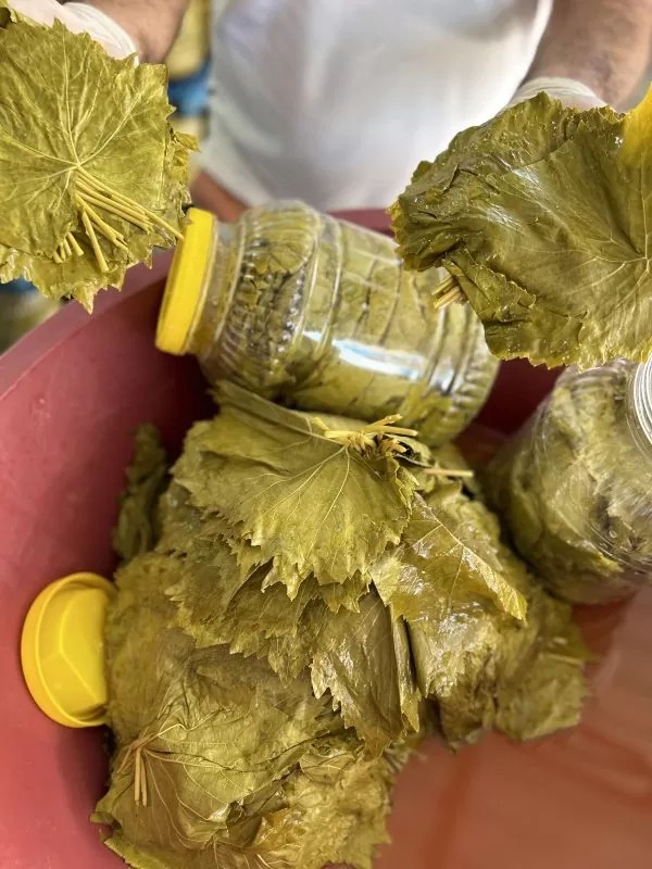 5 Lt’lik Bidonda Salamura Yaprak