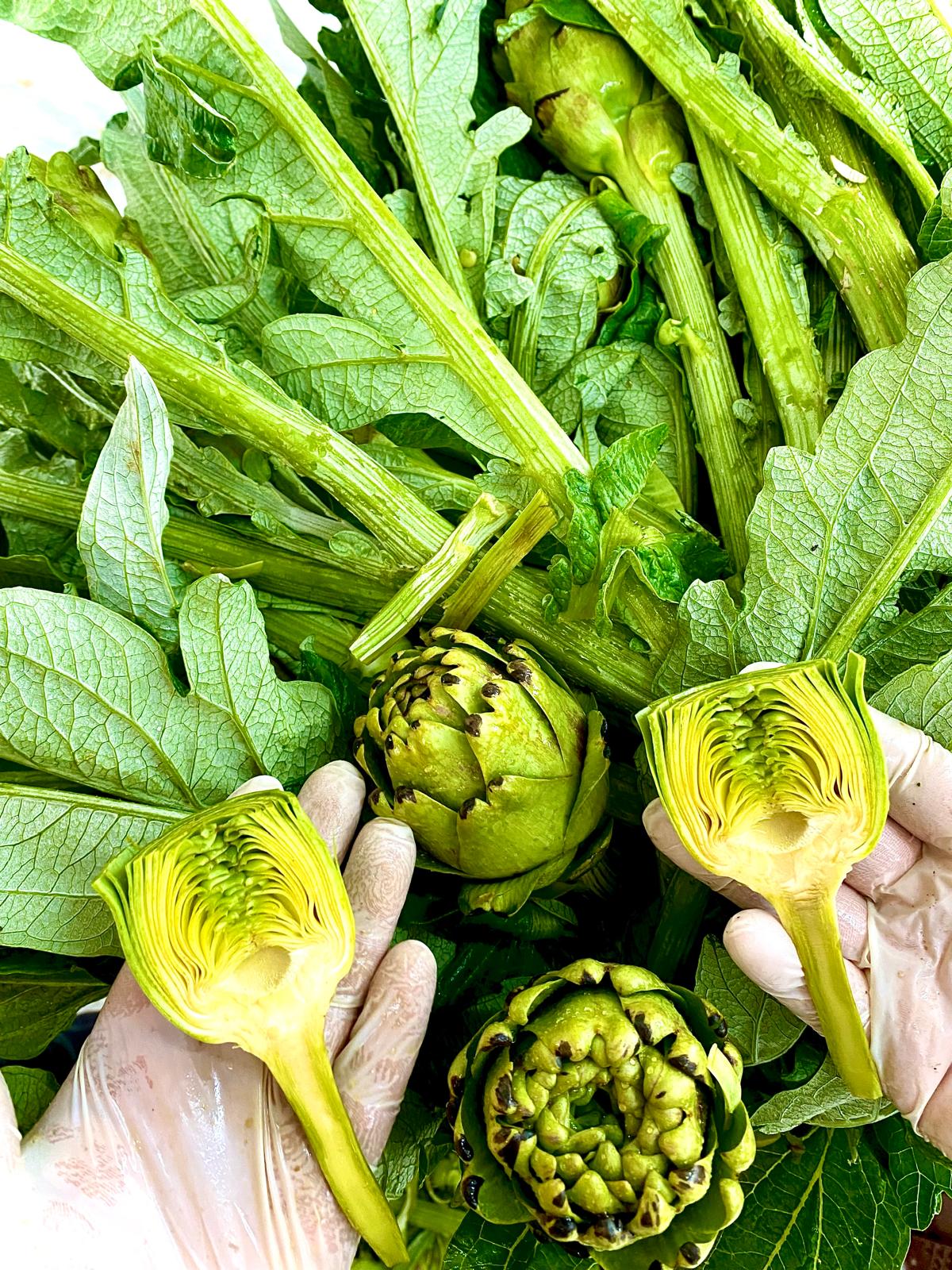 Temizlenmiş 45 Adet Mix Paket (15 Çanak + 10 Bebek + 10 Dolmalık + 10 Kalp )