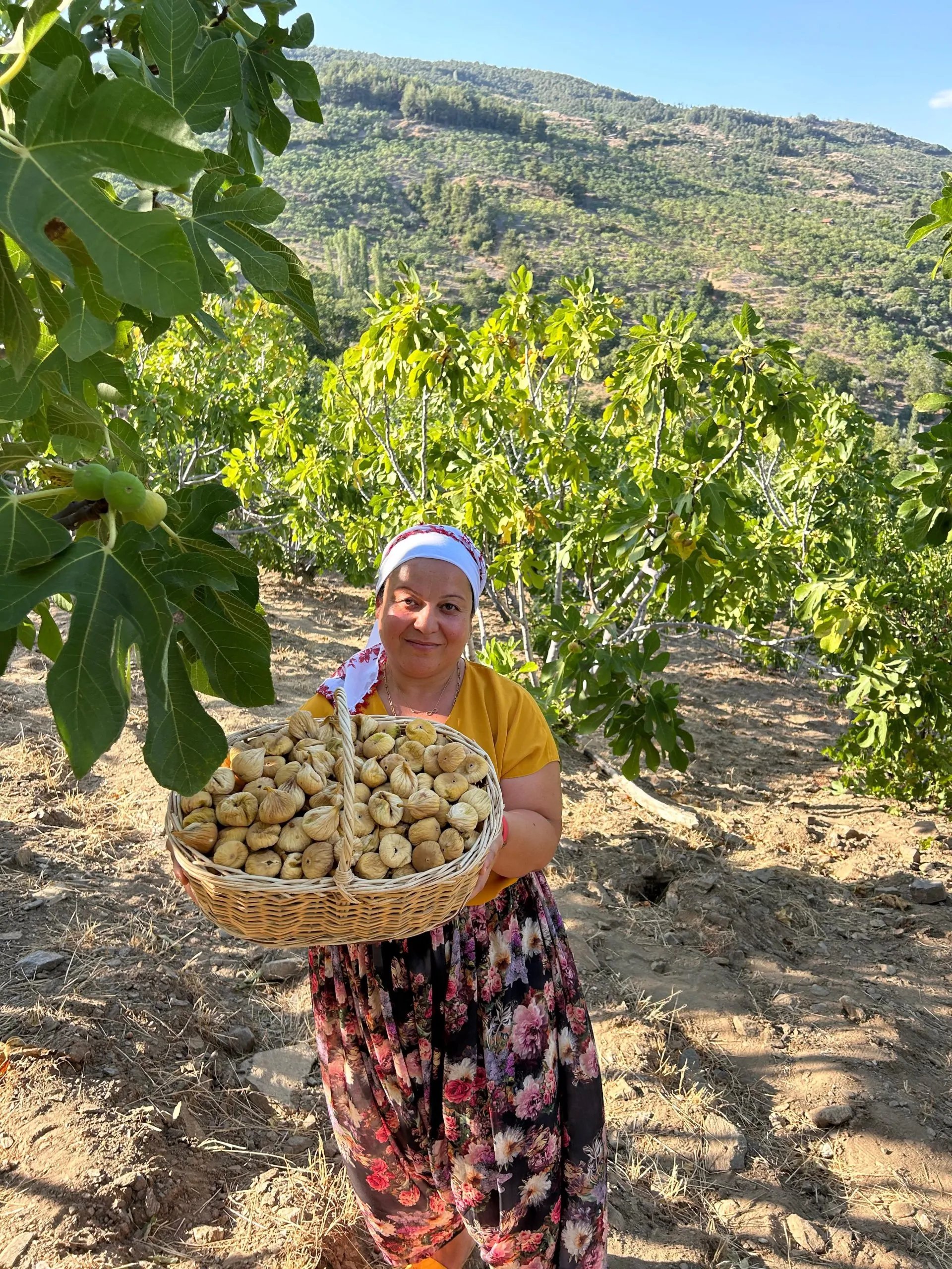 1 Kg Küçük Boy Dağ İnciri