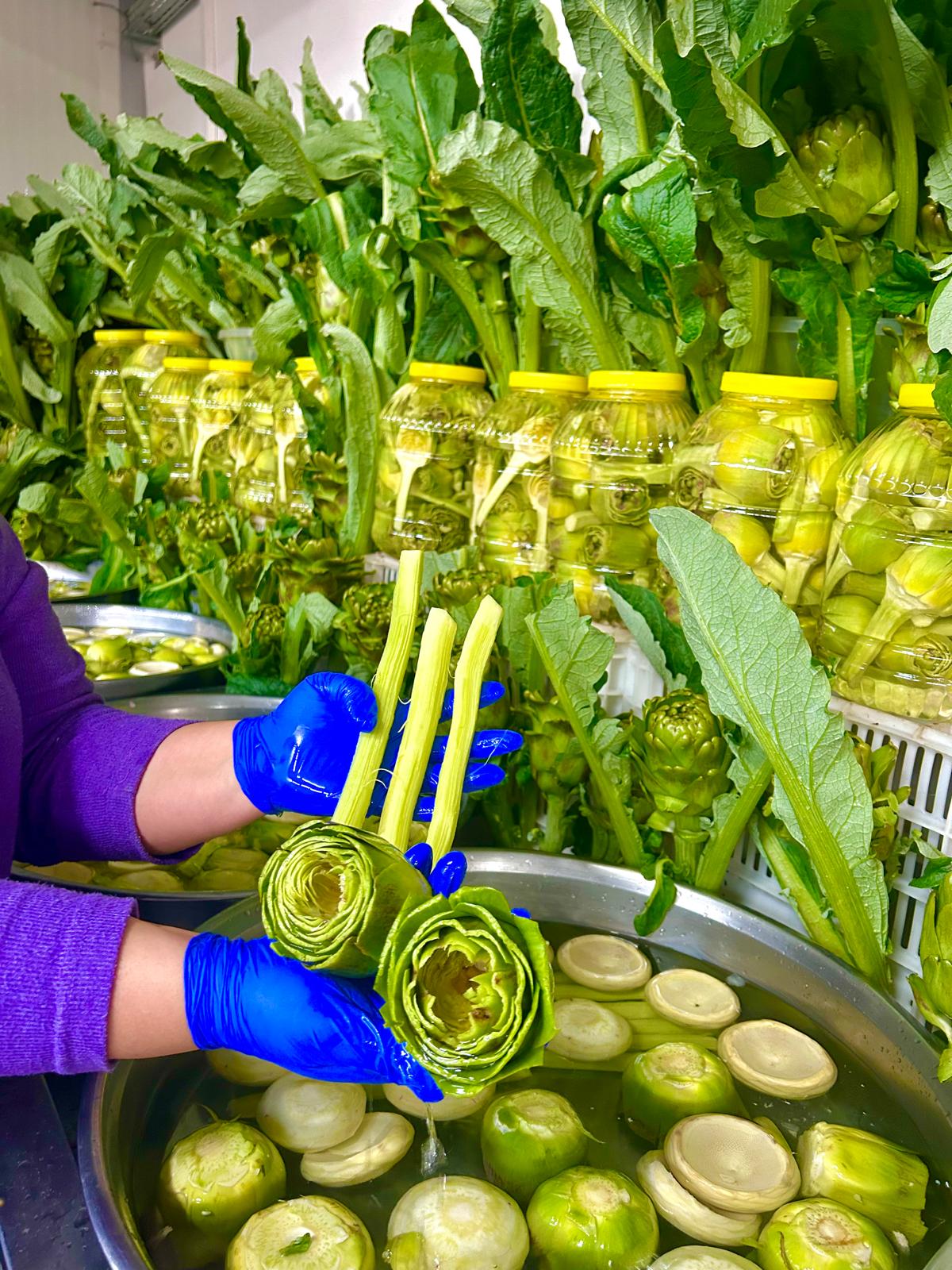 Günlük Temizlenmiş Dolmalık Enginar