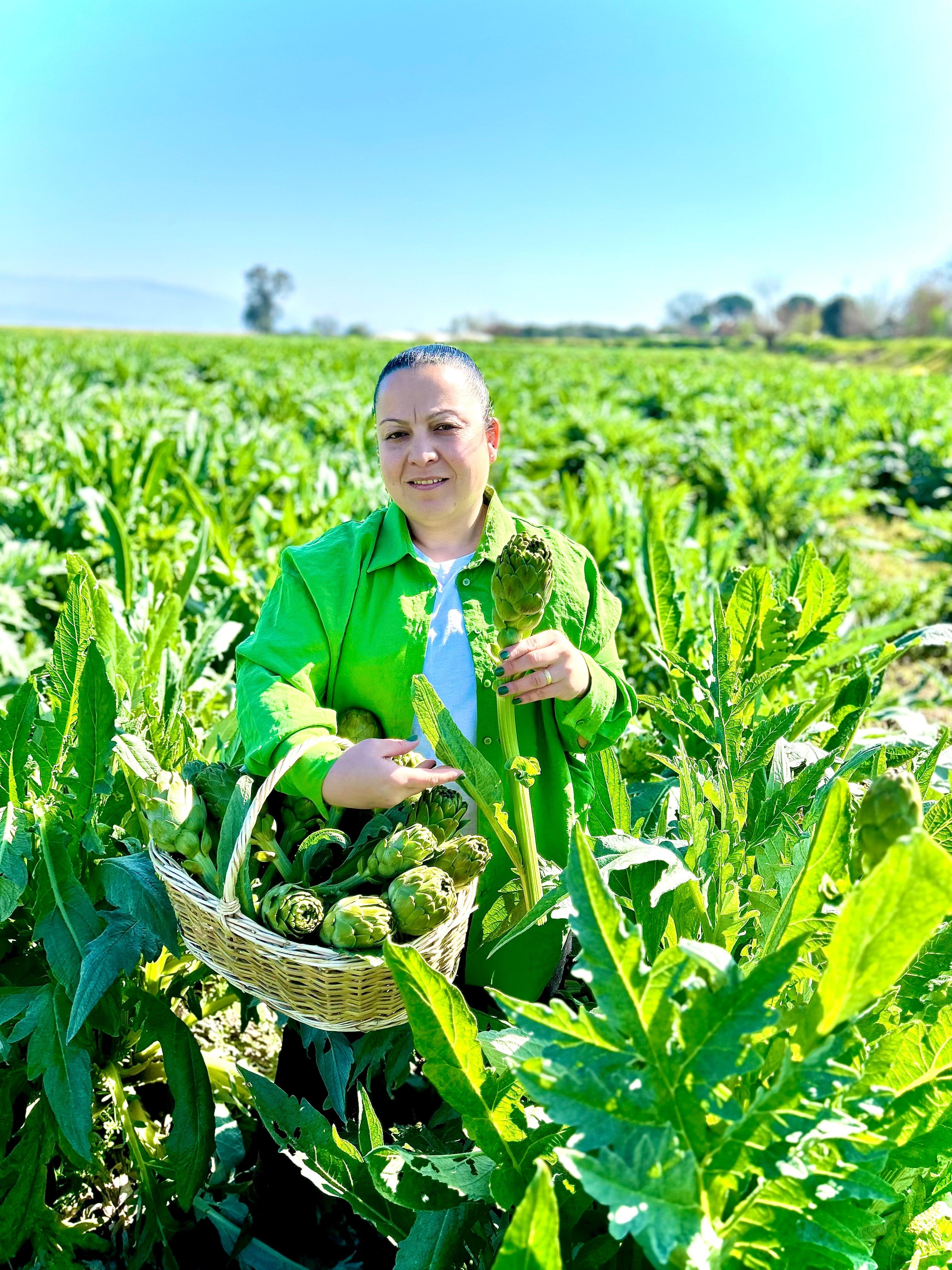 Dalından Bebek Enginar