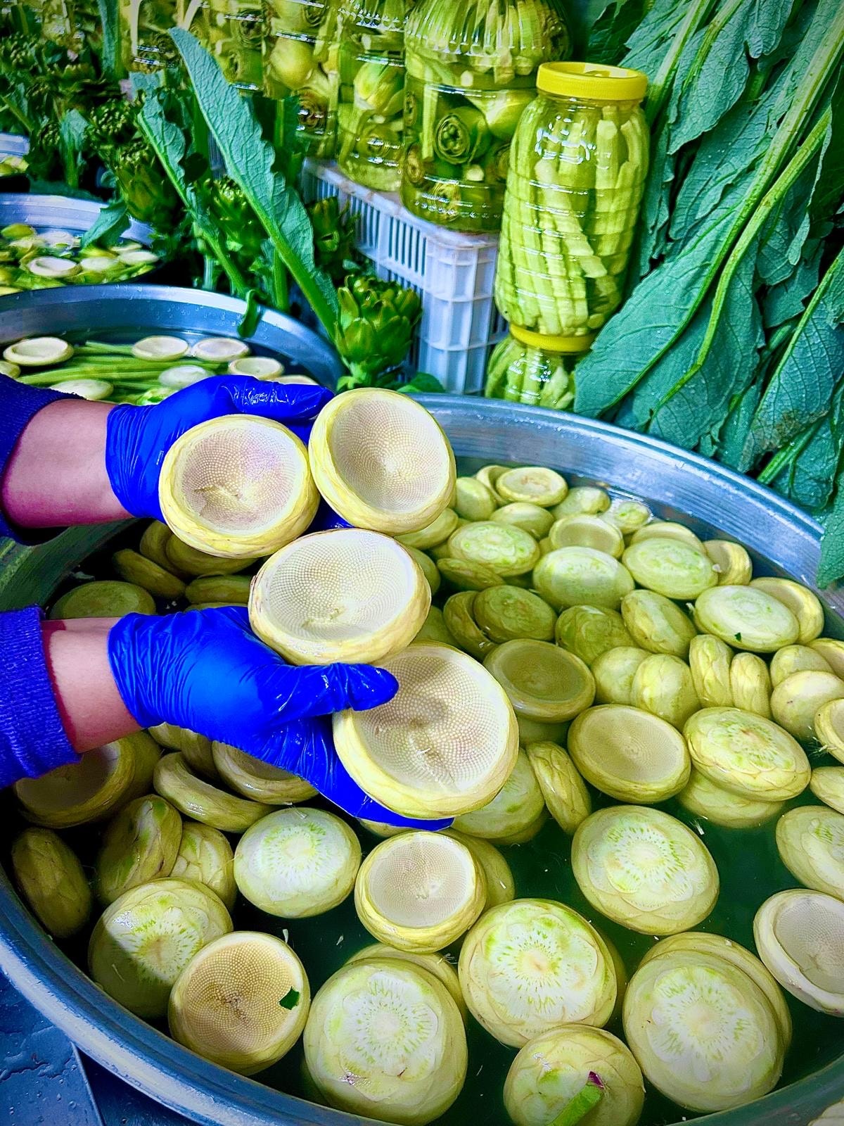 15 Adet Orta – Duble Boy Karışık Taze Çanak Enginar