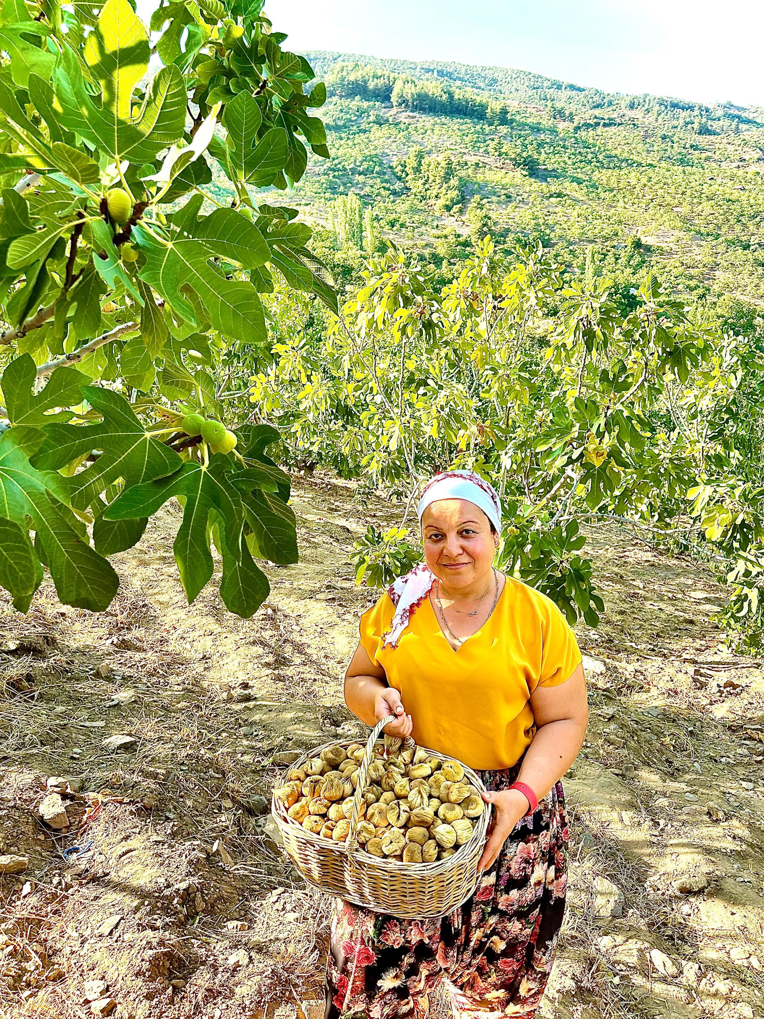 1 Kg Orta Boy Dağ İnciri