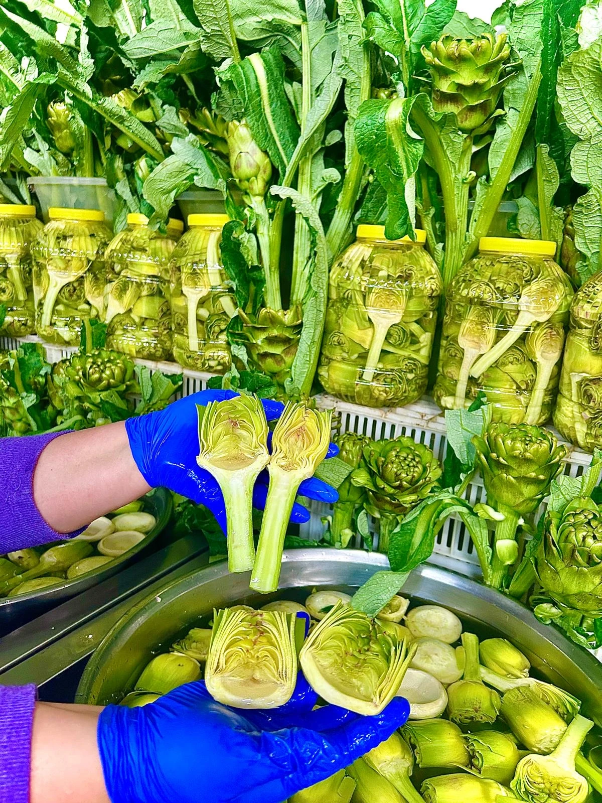 Temizlenmiş 20 Adet Yarma Bebek + 20 Adet Dolmalık