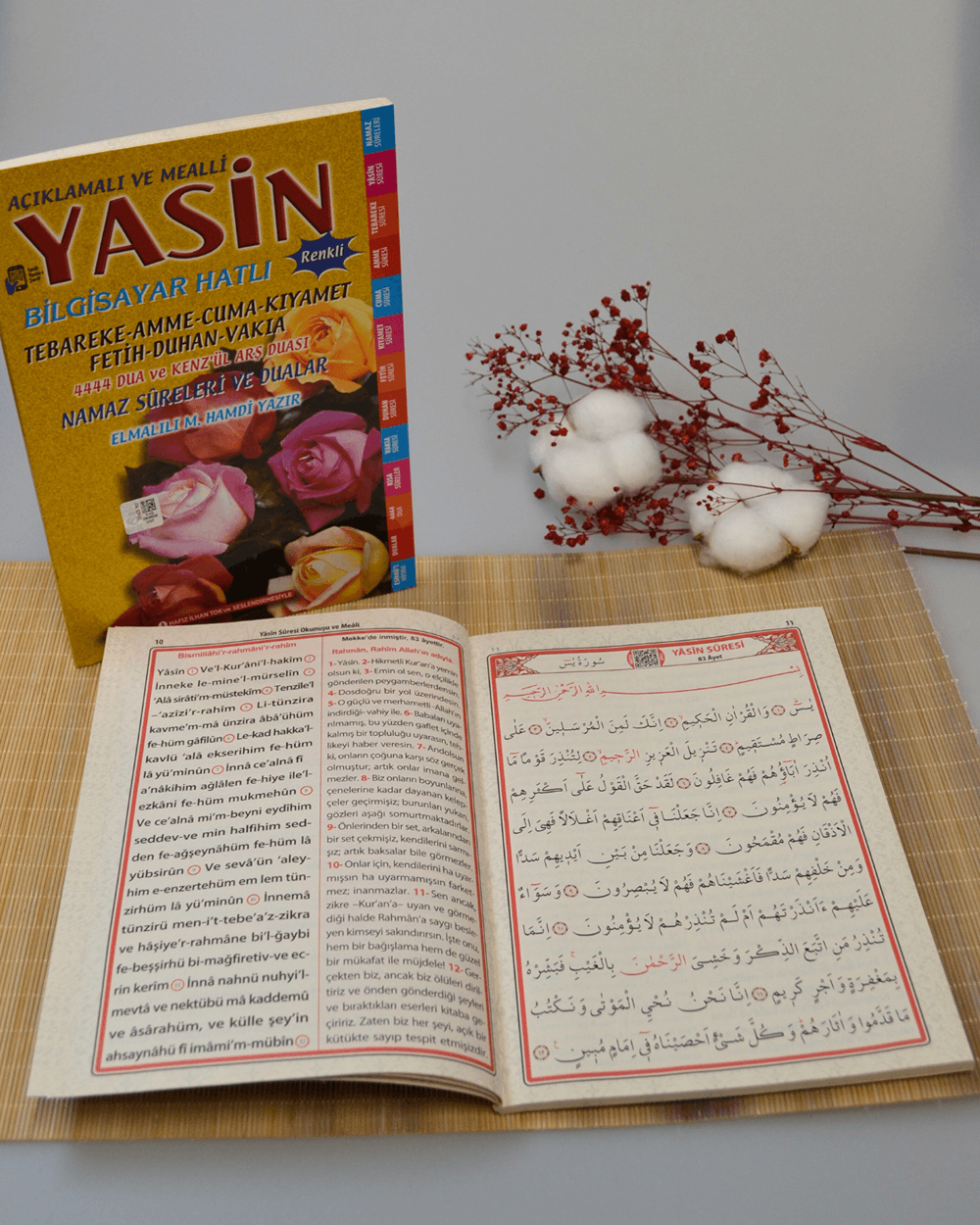 Açıklamalı ve Mealli Bilgisayar Hatlı Renkli Yasin Orta Boy