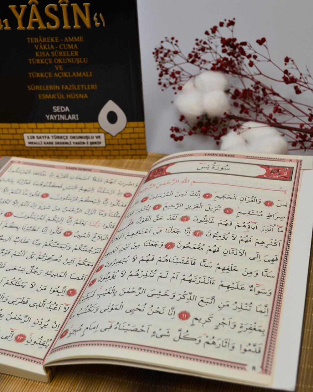 Türkçe Okunuşlu ve Mealli Kabe Desenli Yasin-i Şerif Orta Boy