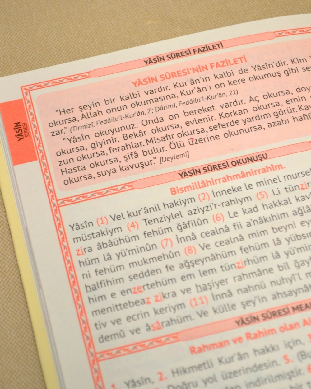 Kişiye Özel İsim Baskılı Ciltli Yasin Kitabı 80 Sayfa Orta Boy 50 Adet -Tül Keseli İnci Tesbihli Mevlüt ve Hatim Hediyesi