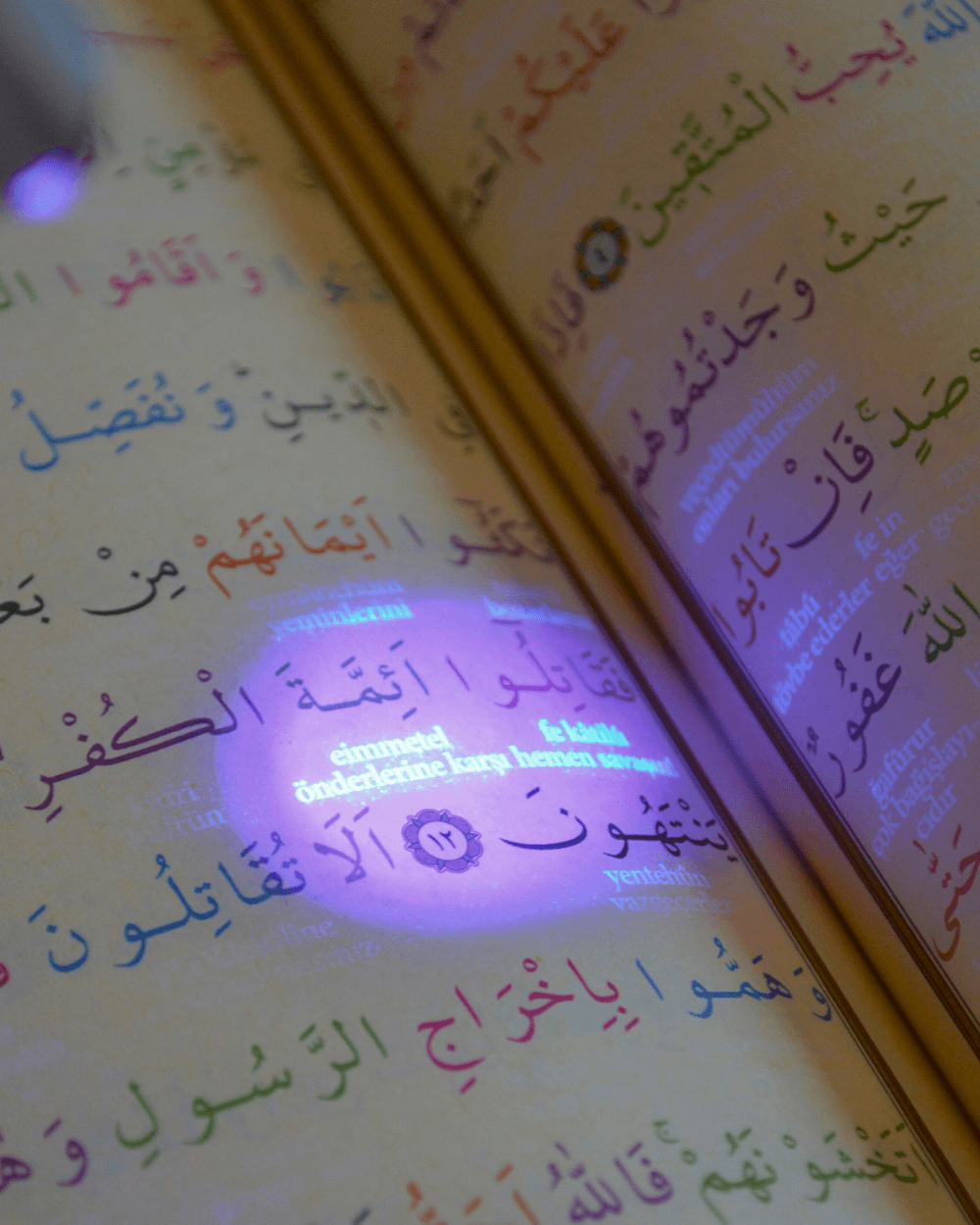 Gizli Mealli ve Türkçe Okunuşlu Kuran-ı Kerim Camii Boy Pembe – Özel Işıklı Kalemli